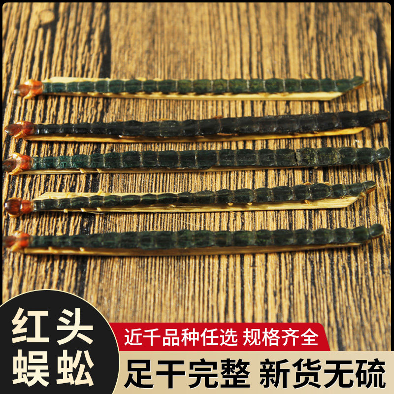 中药材 新货红头蜈蚣 10条百足蜈蚣干虫体完整14-15公分