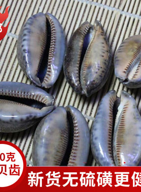 中药材紫贝齿南蛇支螺500克