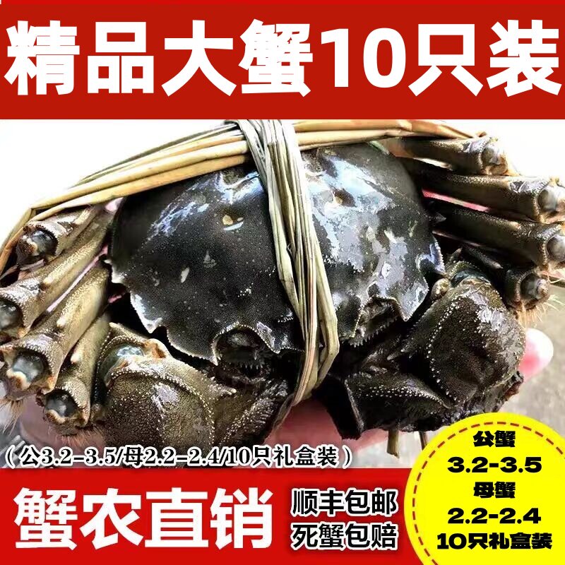 新鲜10只礼盒装梁子湖区大闸蟹
