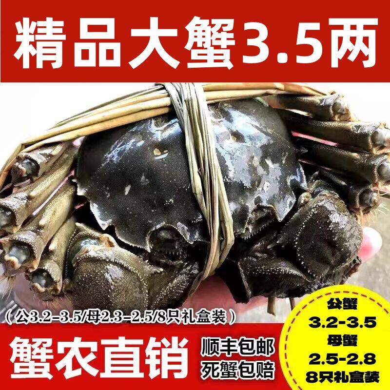 特产鄂州螃蟹鲜活红膏