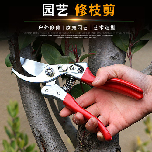 沭工树枝剪刀花剪园林花艺家用