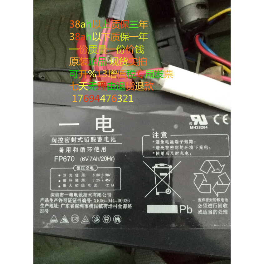 儿童电动汽车电瓶一电牌6v7ah蓄电池 FP670 6V7充电器电瓶