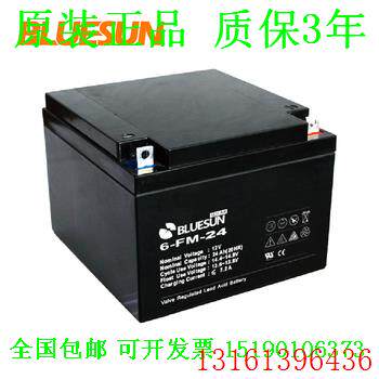 BLUESUN蓄电池6-FM-24(12V-24AH)直流屏UPS电源电瓶电机设备