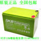 德国SKB12V12ah 12进口免维护铅酸蓄电池照明UPS电源 SKEV12