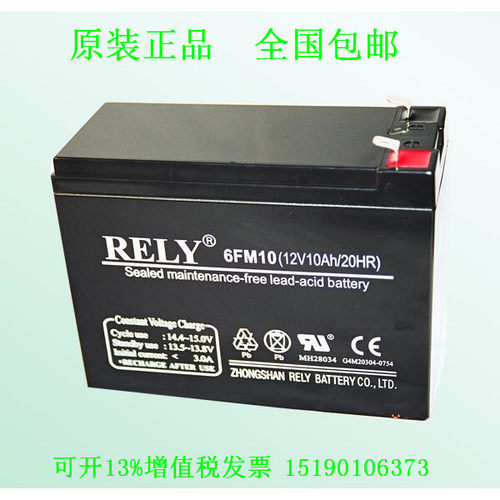 RELY蓄电池 6FM10 12V10Ah机房UPS电源 应急消防 储能 进口