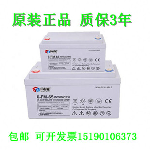 12V65AH SN尚能蓄电池6 直流屏UPS电源电瓶电机设备