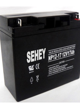 WTSIR蓄电池NP系列大全12V9AH/12V12AH/12V18AH/12V24AH/12V38AH/
