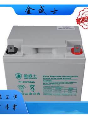 金武士12V38AH铅酸免维护蓄电池PV38-12-YA机房基站UPS备用电源
