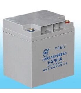 YOULEE有利6-GFM-38 12v38ah24ah65ah直流屏消防主机EPS/ups电池