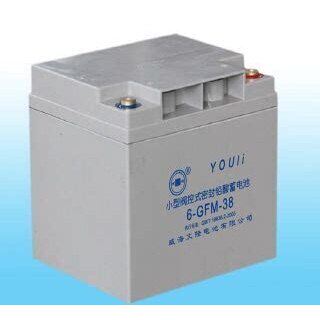 YOULEE有利6-GFM-38 12v38ah24ah65ah直流屏消防主机EPS/ups电池