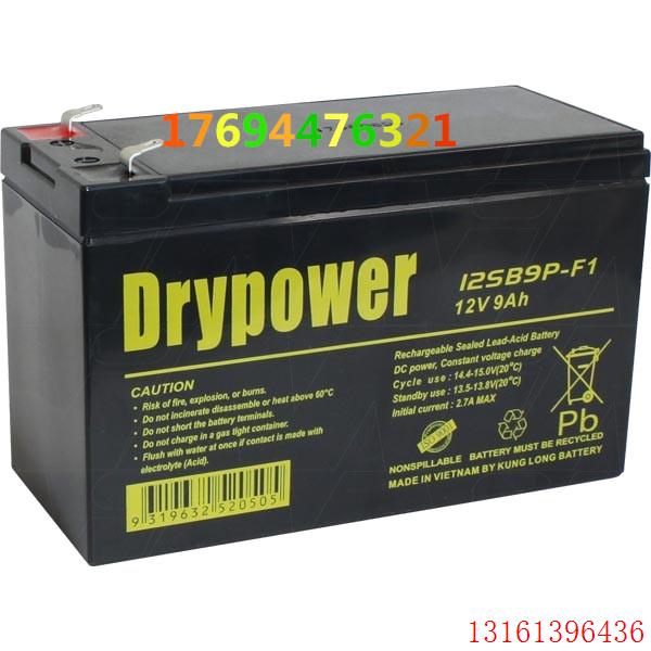 美国Drypower进口电池12SB9P-F2 12V9AH免维护12伏9安电瓶