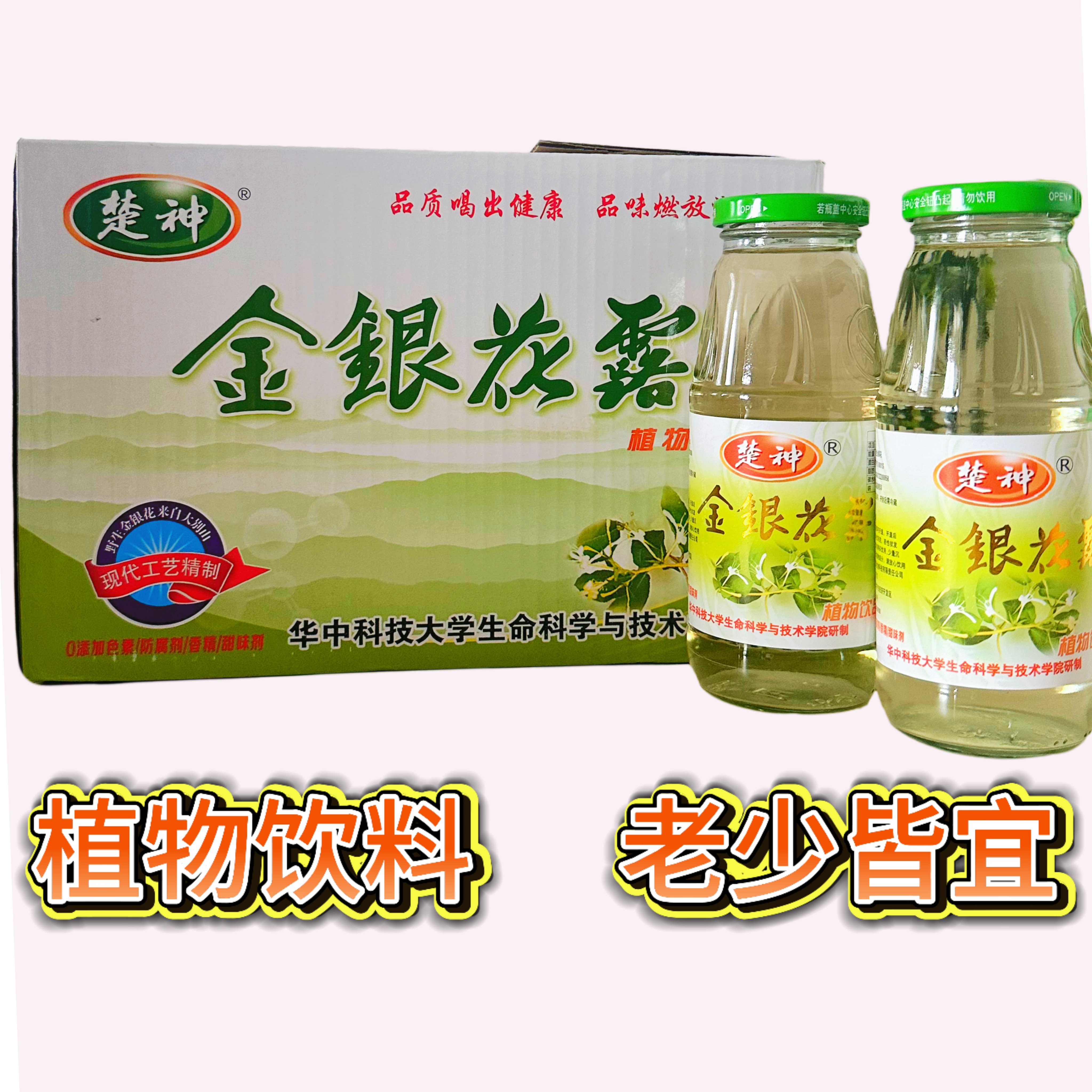 楚神金银花露12瓶植物饮料