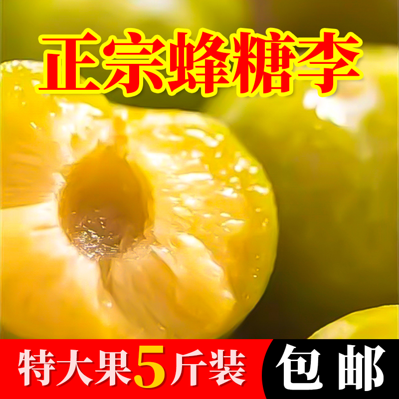 正宗贵州镇宁六马当季蜂糖李子自家果园现摘发货爆甜脆甜脱骨大果