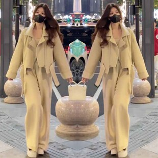 网红爆款时尚套装女2024冬季新款洋气加厚显瘦短款羽绒服+阔腿裤