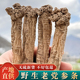 野生党参500g干货特级中药材正品 甘肃当参黄芪当归泡水官方旗舰店