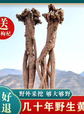 整根野生黄芪500克特级中药材