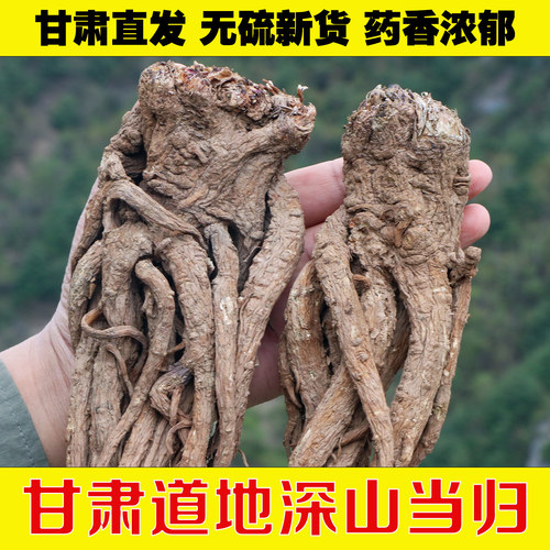 深山当归500g甘肃特级中药材