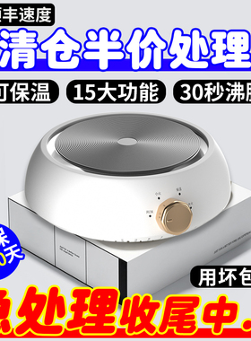 【质保十年】新款家用电陶炉煮茶器烧水泡茶壶电热炉子罐罐茶泡茶