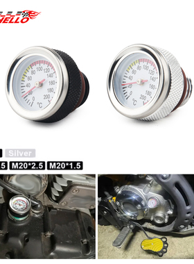 M20*1.5/M20*2.5M30*1.5摩托车改装机油油温表发动机温度表机油尺