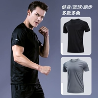 Áo thun thể thao nam tay ngắn quần áo nhanh khô quần áo tập luyện bóng rổ chạy dài tay thủy triều mùa hè quần áo thể dục rộng rãi - Áo phông thể thao áo thun reebok nam