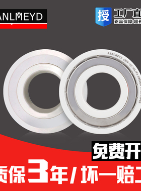 瑞典BMD进口全陶瓷轴承 16001 16002 16003 16004 16005 16006 HQ