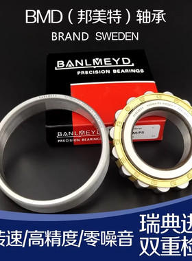 瑞典BMD进口圆柱轴承N1019 1020 1021 1022 1024 1026 1028EM耐磨