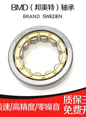 瑞典BMD圆柱滚子轴承RNU202 203 204 205 206 207 208 209 210 P5