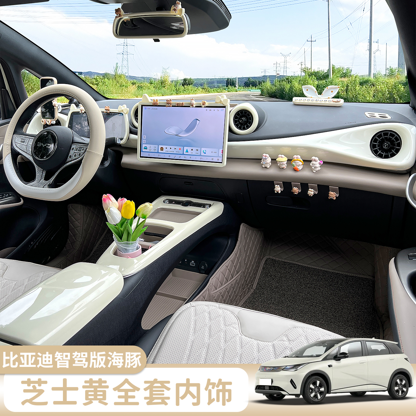 比亚迪海豚智驾芝士黄全车改色