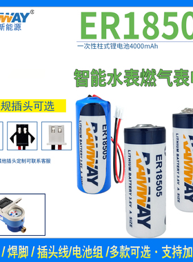 睿奕ER18505锂电池3.6V智能IC卡水表流量计PLC工控仪器7.2V电池组