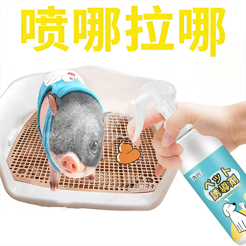 小香猪上厕所诱导剂训练猪入厕猪猪定点入厕拉尿拉尿改善恶习专用