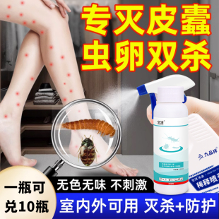 杀除皮蠹小圆皮蠹黑毛皮蠹虫黑皮蠹杀虫剂皮虫药皮蠹幼虫花斑皮蠹