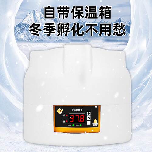 儿童孵蛋机孵小鸡芦丁鸡孵化器小型家用智能全自动翻蛋6枚孵化机