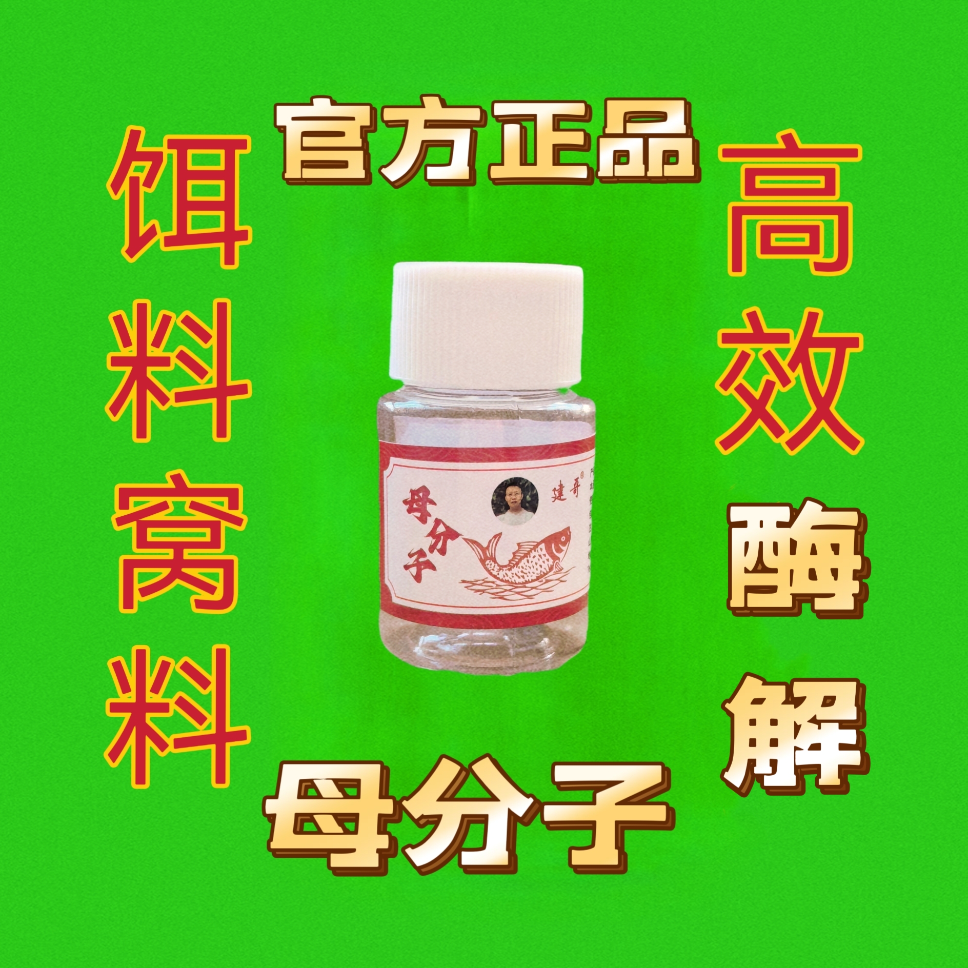 【母分子】建哥钓鱼饵料窝料高效微生物酶解母分子1克（1粒）