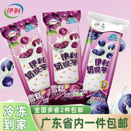 60支伊利奶提子雪糕葡萄干夹心奶油冰淇淋网红怀旧冷饮65g/支