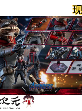亿次元 Hot Toys MMS548 复联4-终局之战 Rocket火箭浣熊 现货