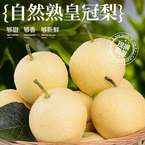 河北皇冠梨新鲜水果整箱包邮