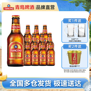 包邮 青岛啤酒原麦汁浓度11.0°P金质小棕金258ml 12瓶整箱