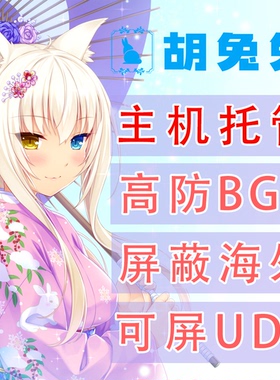 我的世界服务器高防BGP开服1U服务器托管定制组装 胡兔兔云计算