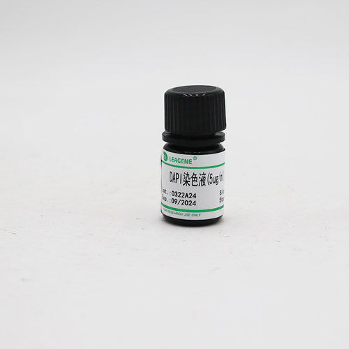 DAPI染色液(5ug/ml,含封片剂)