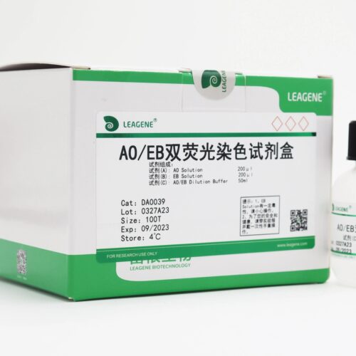 AO/EB双荧光染色试剂盒