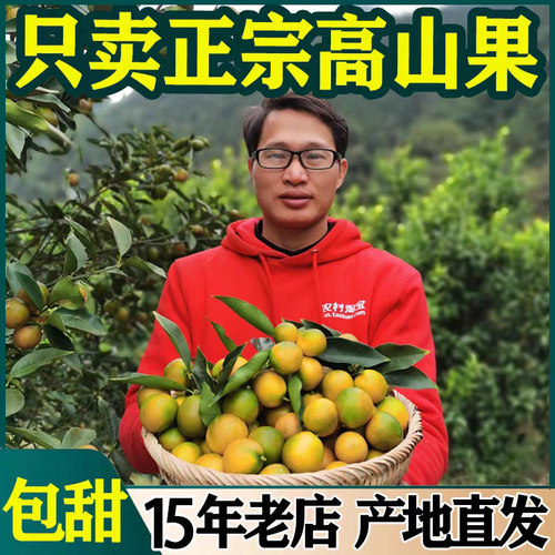 【纯甜不酸】广西融安脆皮金桔新鲜包邮水果柳州当季金桔大果鲜果