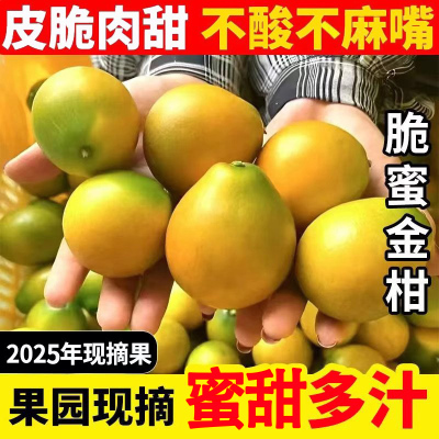 【新上市大促中】脆蜜金柑