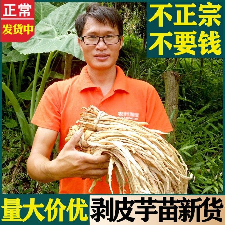 农家芋苗干广西芋荷梗干新鲜芋头苗梗干火锅干菜食材干货芋蒙芋禾