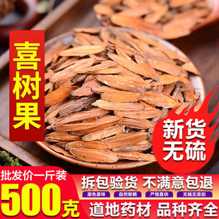 正品中药材喜树子/水栗/旱莲子/野芭蕉/喜树果 500克