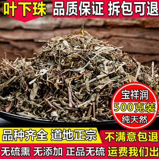 中药材正品叶下珠 珍珠草 叶下珠茶新鲜干货鱼鳞草500g包邮