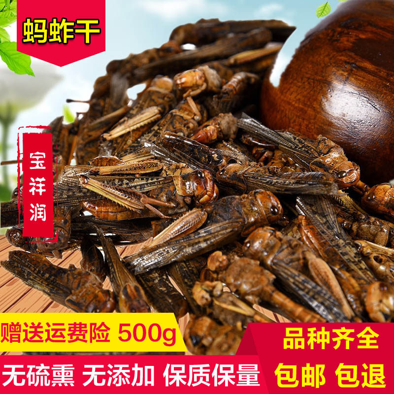 中药材 蝗虫干蚂蚱干蚱蜢干画眉鸟食自制鸟食原料500g包邮