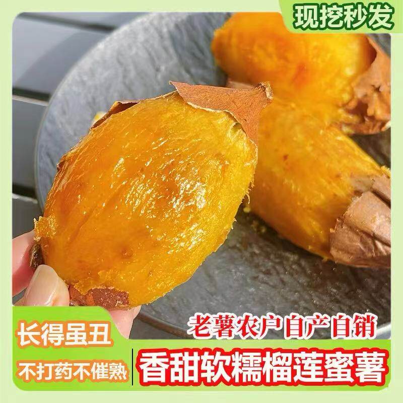 正宗真榴莲蜜薯香甜软糯现挖地瓜甘薯黄心红薯番薯沙地新鲜