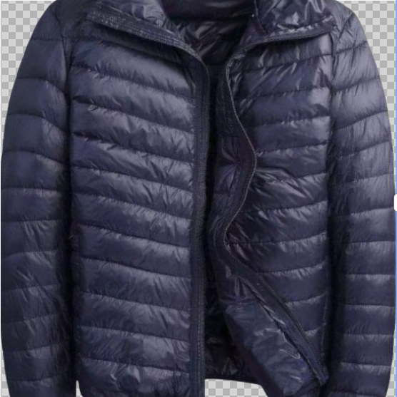 thumbnail for Down Jacket 5813206