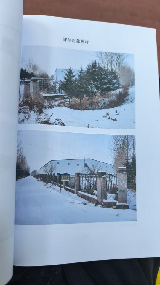 4月15日绥化市米业公司房地产及附属物网络拍卖公告