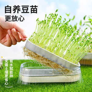 豆芽豌豆苗水培蔬菜育苗盒